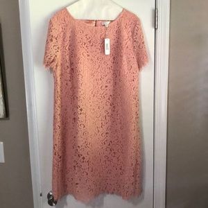 Pink Lace Charming Charlie dress size large